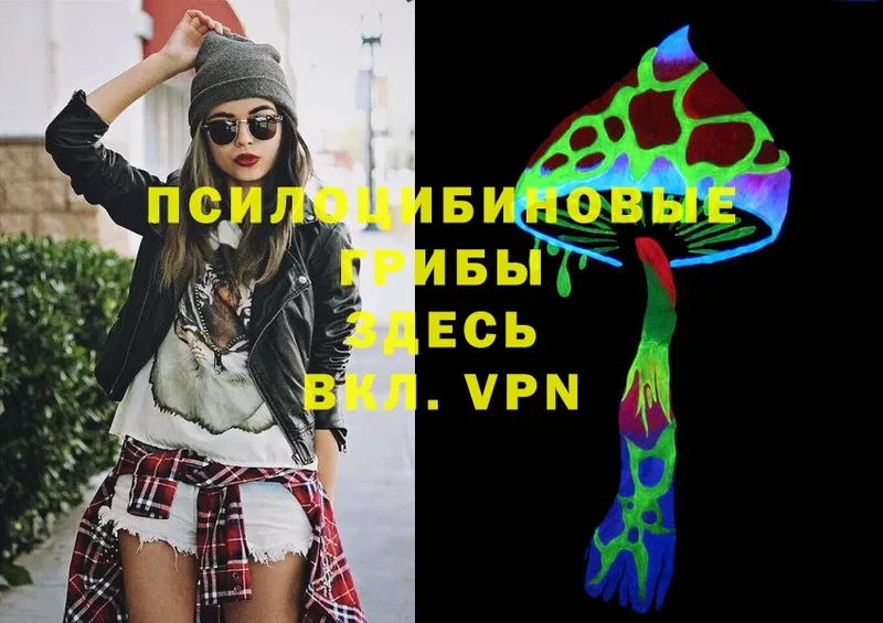 Галлюциногенные грибы Psilocybe  Заречный 